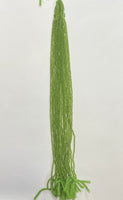 Peridot Faceted 3mm